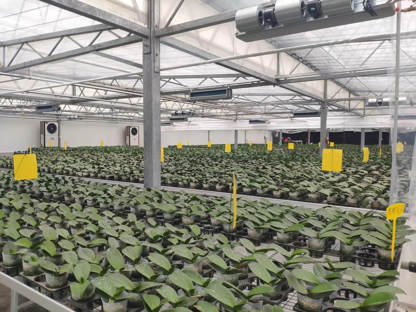 ������ʱ��(�й���)�������ǲ�!