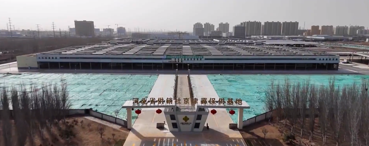 ������ʱ��(�й���)�������ǲ�!