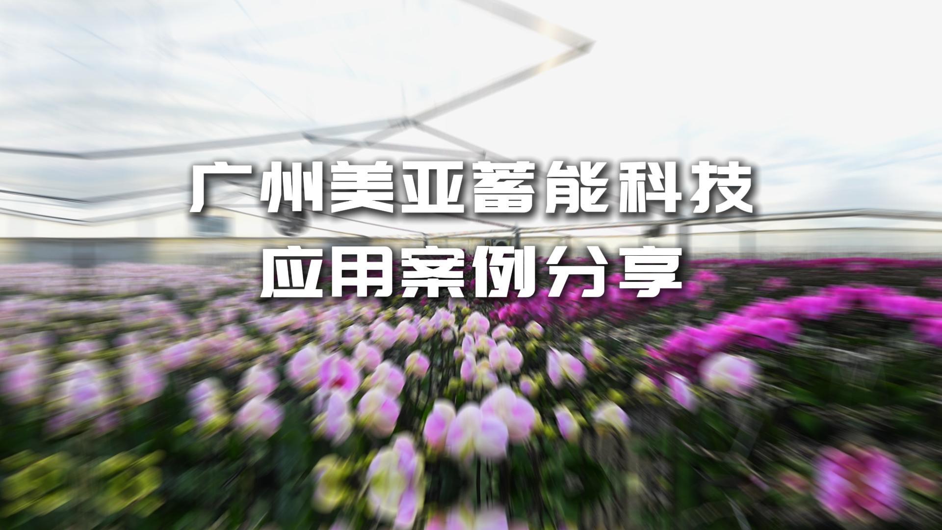 ʱ(й)ǲ!